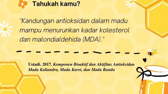 honey facts madu dapat menurunkan kolesterol