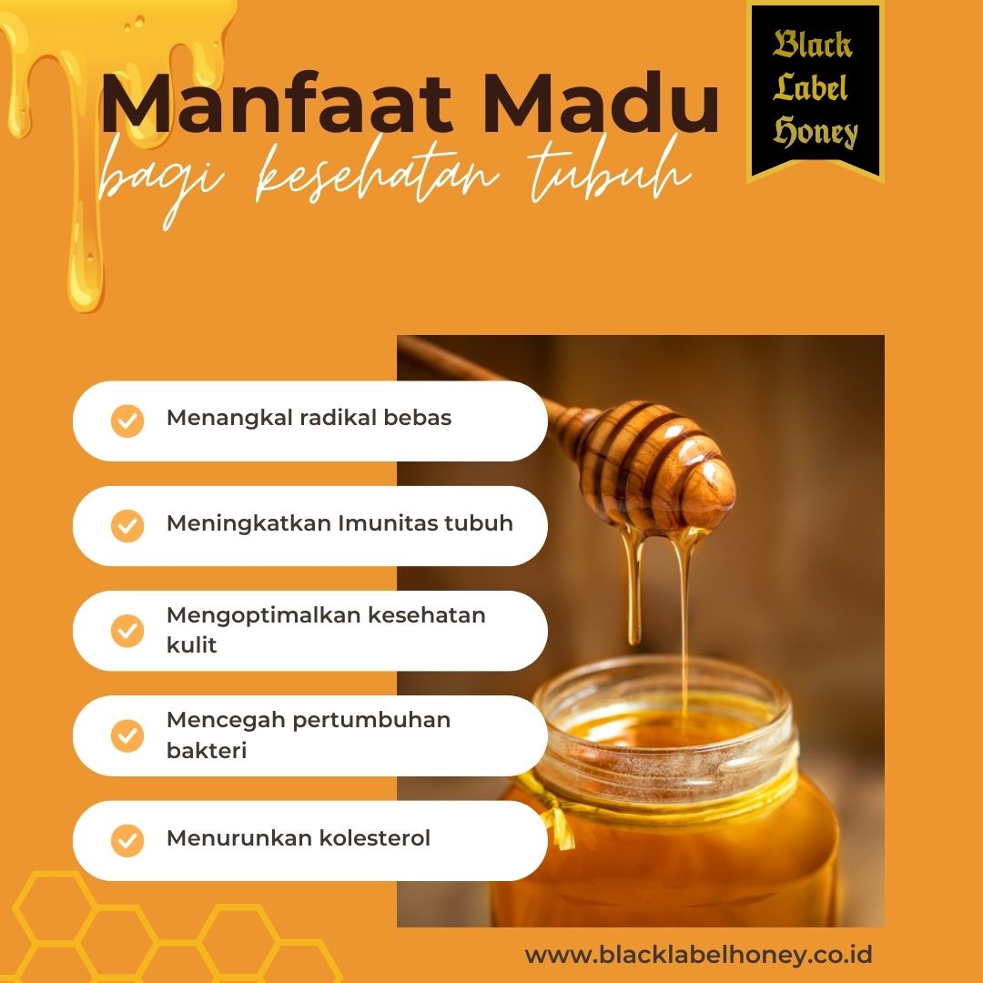 manfaat madu bagi kesehatan 1