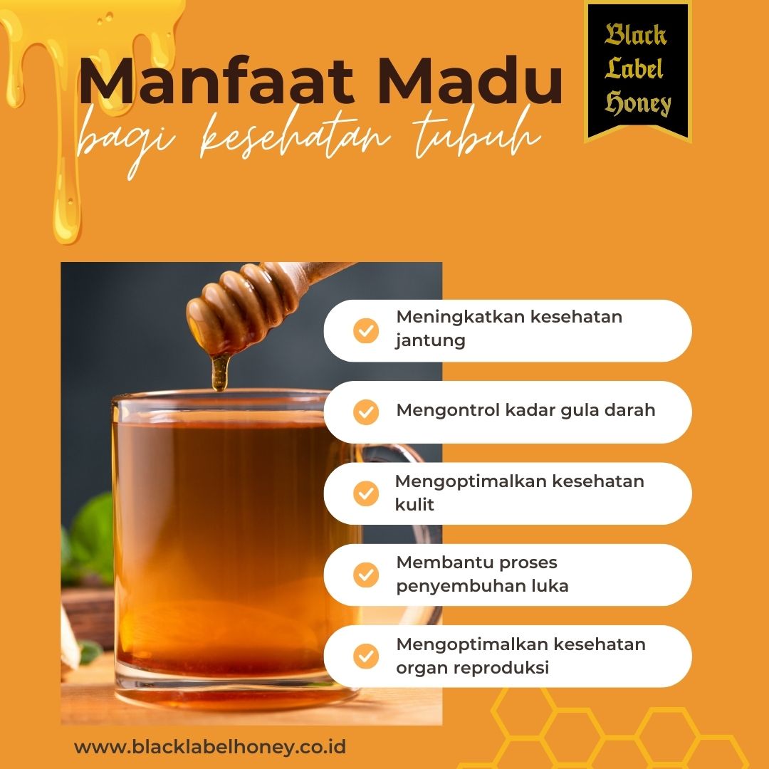 manfaat madu bagi kesehatan 2