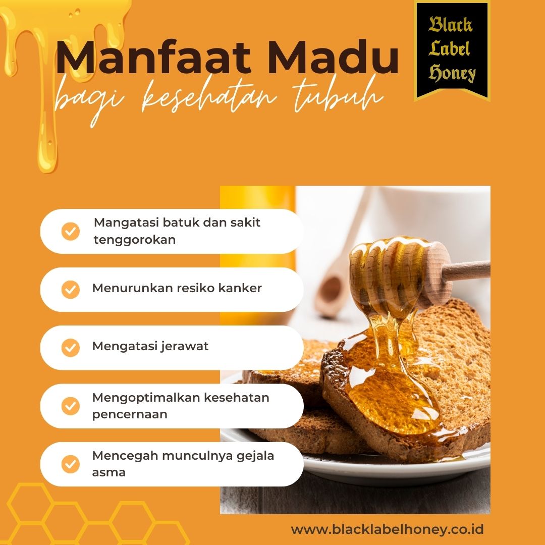 manfaat madu bagi kesehatan 3